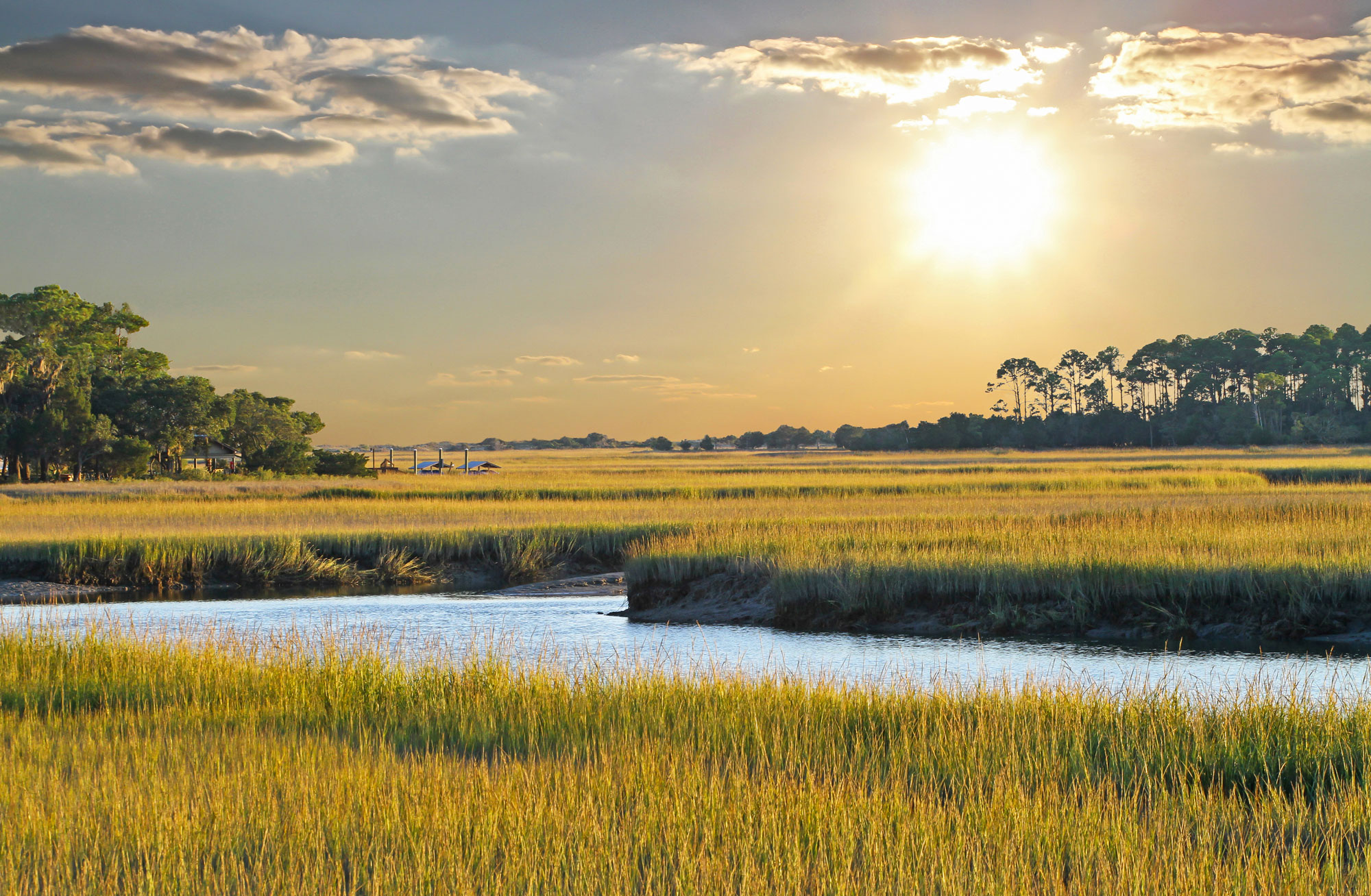 Marsh; Low Country Drifters