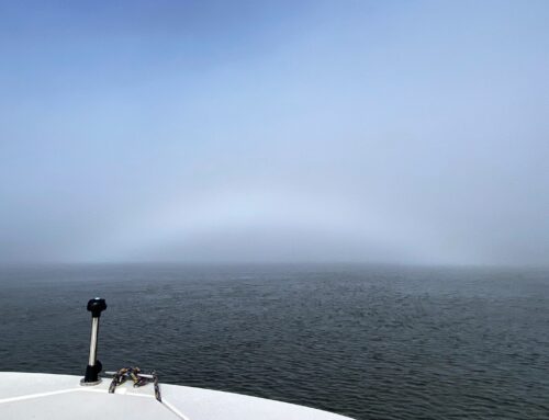 Fog Bow