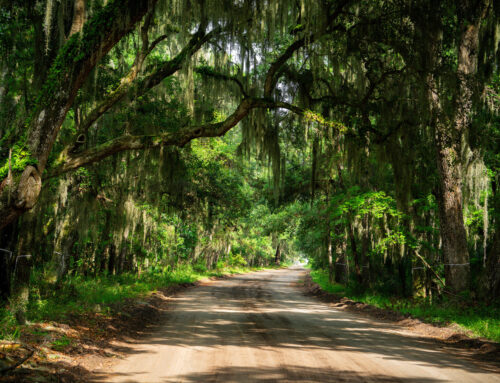 Daufuskie Island Water Taxi