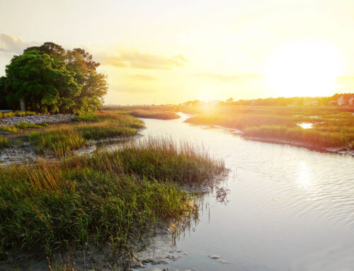 Now Offering Sunset Cruises