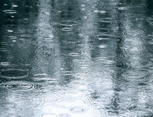 What to do on a Rainy Day in Savannah