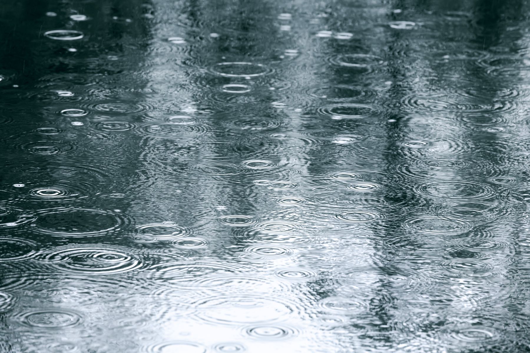 What to do on a Rainy Day in Savannah