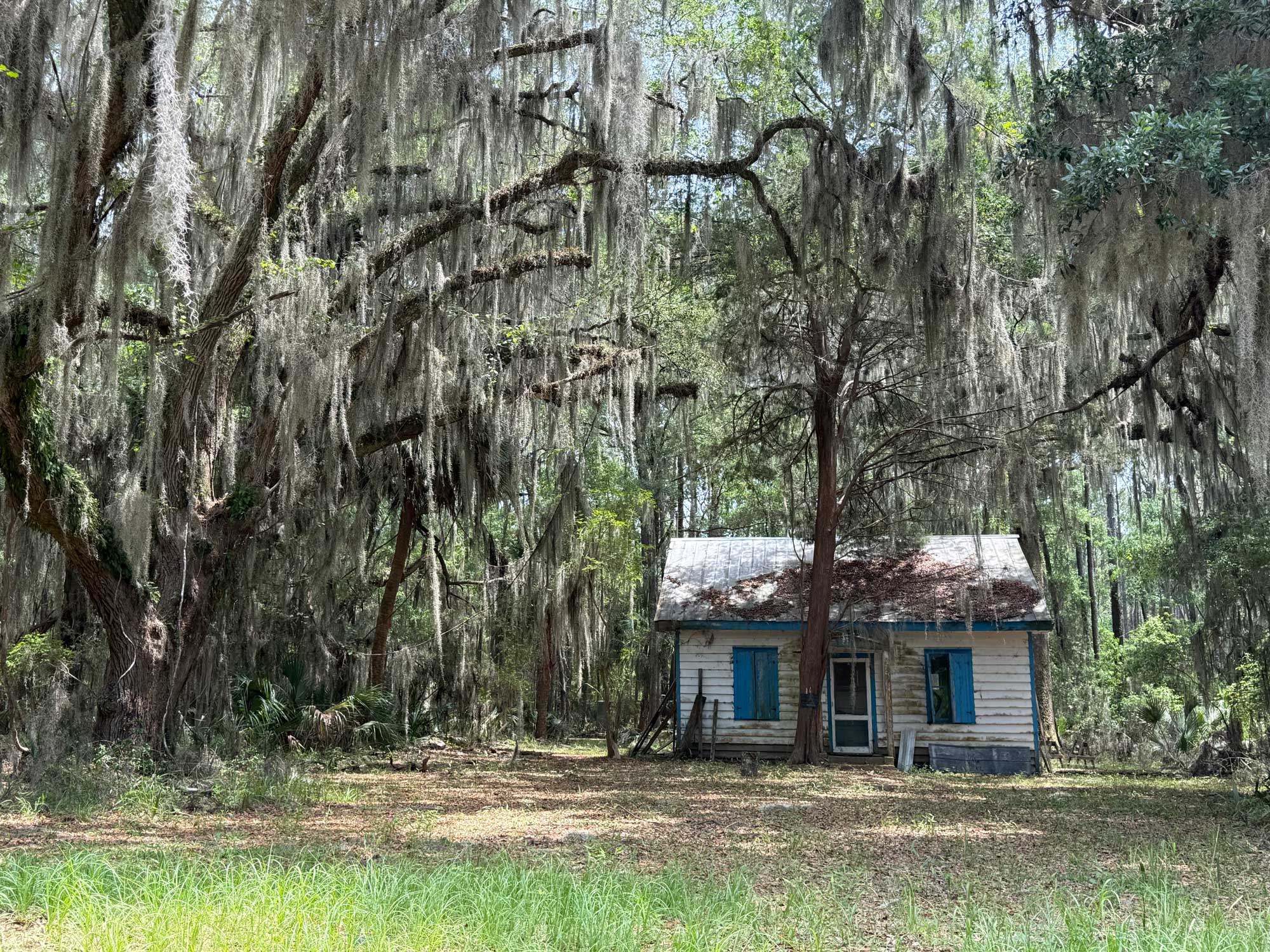 Why We Love Daufuskie Island (and think you will, too)