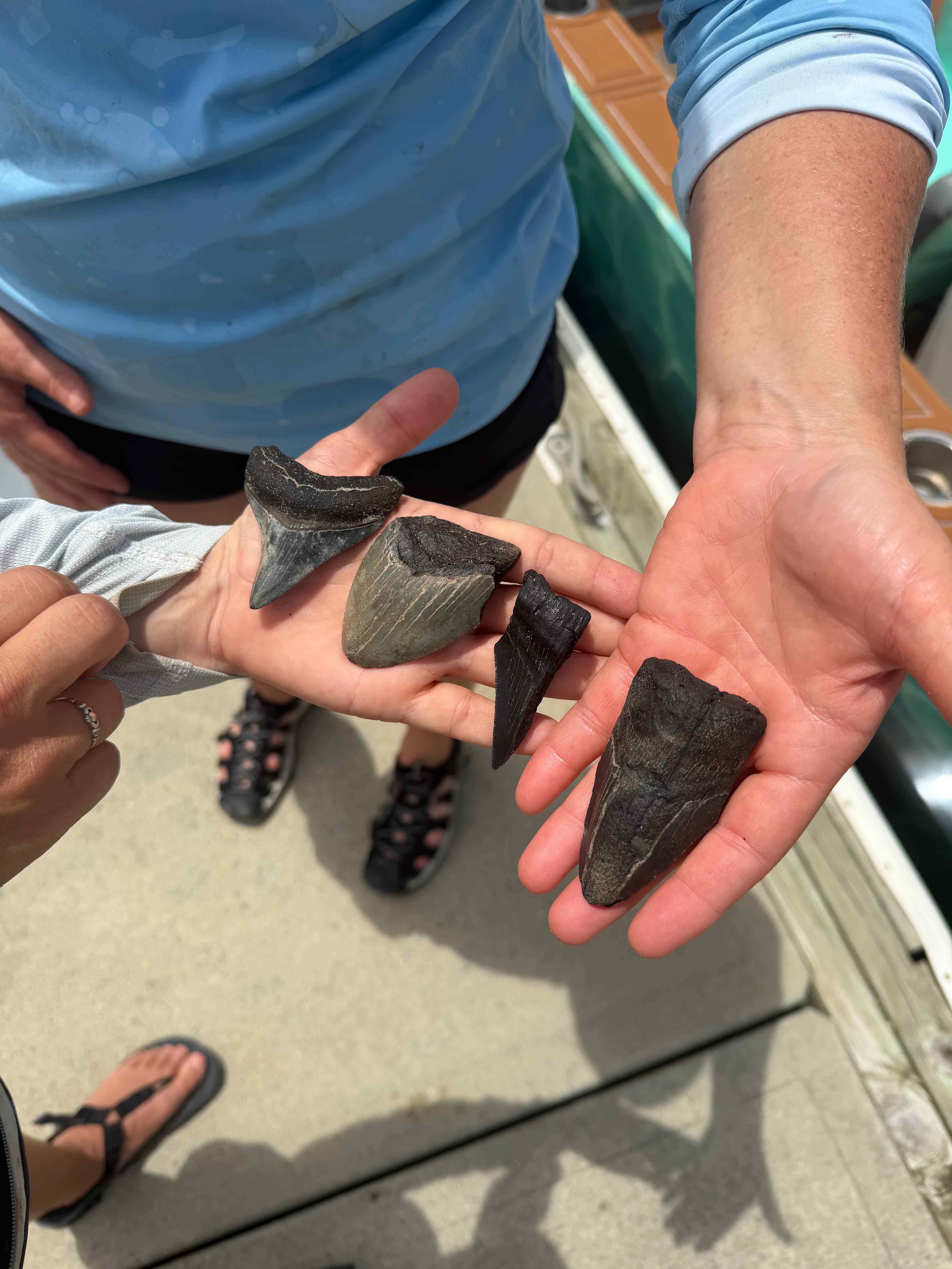 Megalodon Teeth 26 Mandy and Jessy megalodon teeth scaled • Low Country Drifters, Savannah Boat Tours