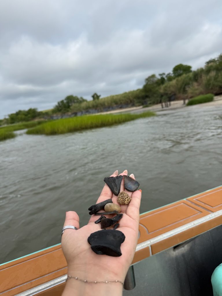 Olivia’s handful of shark teeth 26 OliviaC handful of shark teeth and fossils • Low Country Drifters, Savannah Boat Tours